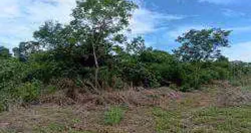 Fazenda à venda, 80000000 m² por r$ 50.000.000,00 - zona rural - peixoto de azevedo/mt