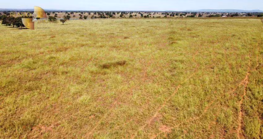 Fazenda à venda, 46440000 m² por r$ 190.000.000,00 - zona rural - araguaína/to