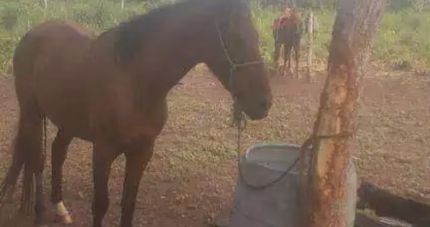 Fazenda à venda, 2700000 m² por r$ 6.000.000,00 - zona rural - jangada/mt