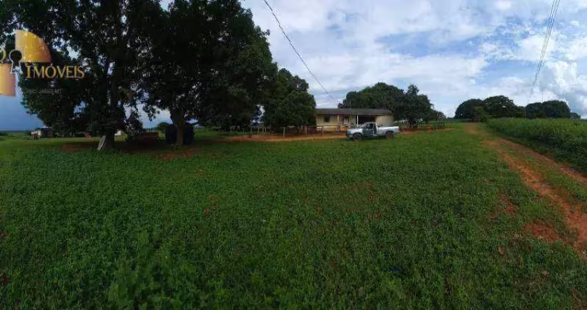 Fazenda à venda, 15800000 m² por r$ 80.580.000,00 - rural - santa rita do trivelato/mt