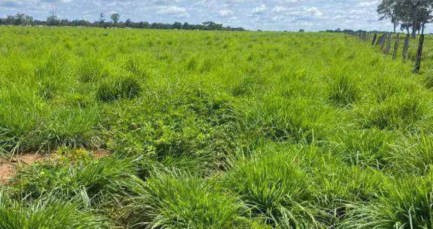Fazenda para arrendar, 16000000 m² por r$ 1.536.000/ano - zona rural - poconé/mt