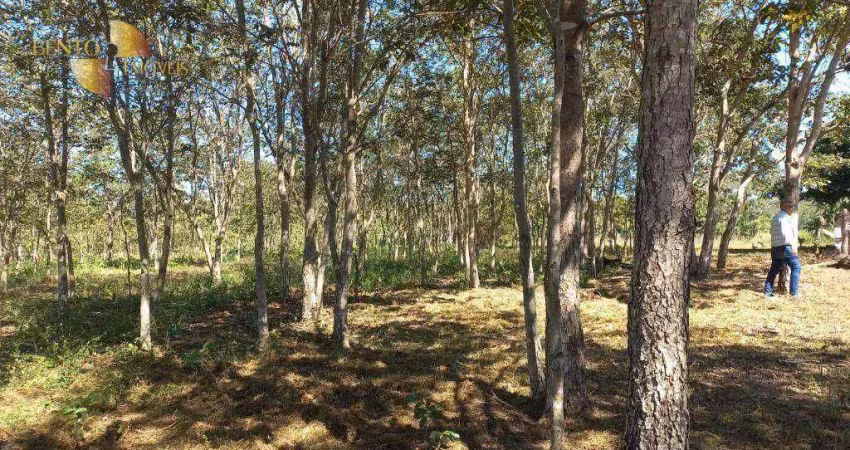 Fazenda à venda, 22660000 m² por r$ 28.000.000,00 - zona rural - jangada/mt