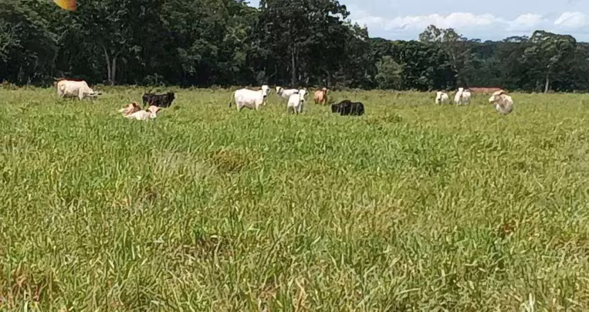 Fazenda à venda, 2900000 m² por r$ 7.500.000,00 -  pacem - cuiabá/mt