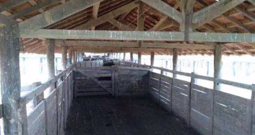 Fazenda à venda, 119000000 m² por r$ 150.000.000,00 - zona rural - ribeirão cascalheira/mt