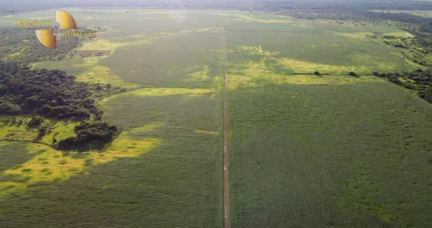 Fazenda à venda, 390000000 m² por r$ 650.000.000,00 - zona rural - confresa/mt