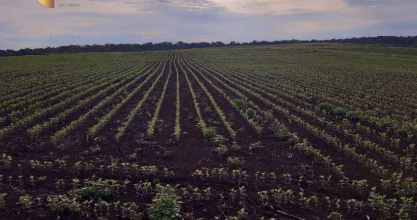 Fazenda à venda, 16780000 m² por r$ 130.000.000,00 - zona rural - ribeirão cascalheira/mt