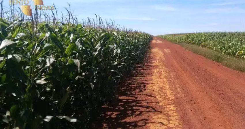 Fazenda à venda, 330000000 m² por r$ 1.200.000.000,00 - zona rural - porto alegre do norte/mt