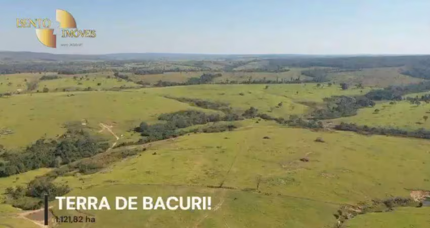 Fazenda à venda, 11218200 m² por r$ 55.000.000,00 - zona rural - comodoro/mt