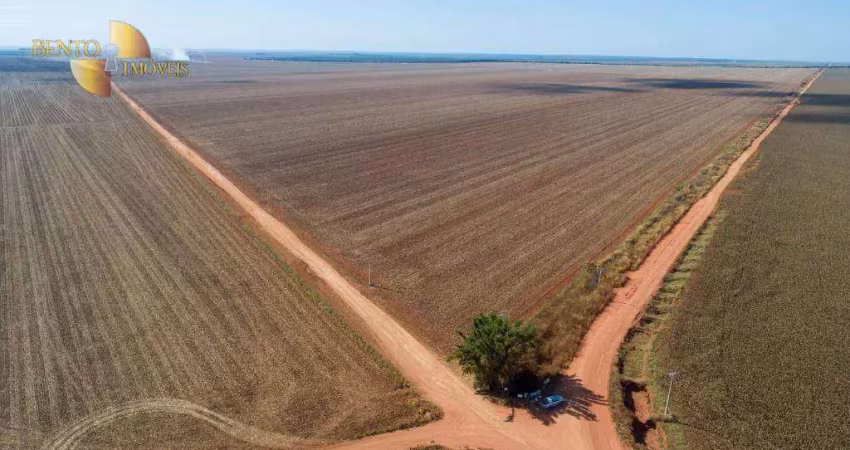 Fazenda à venda, 50000000 m² por r$ 250.000.000,00 - zona rural - campo novo do parecis/mt