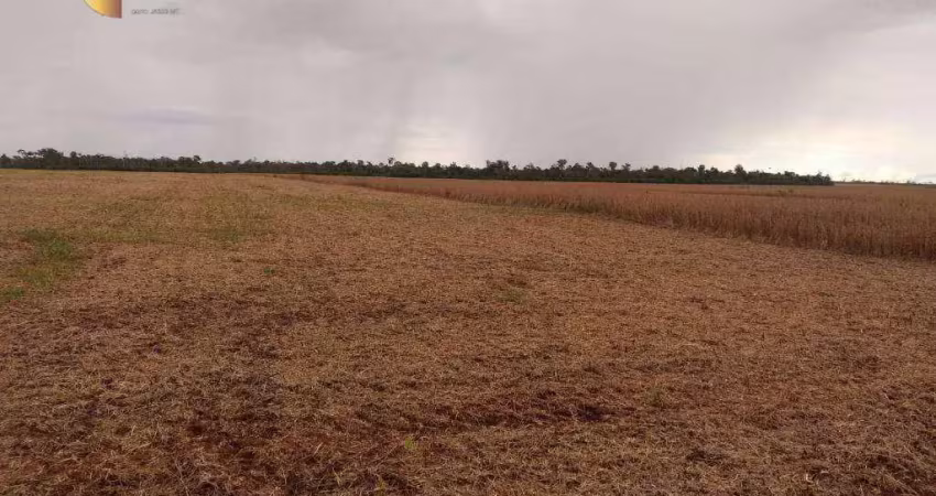 Fazenda à venda, 4800000 m² por r$ 24.576.000,00 - zona rural - marcelândia/mt