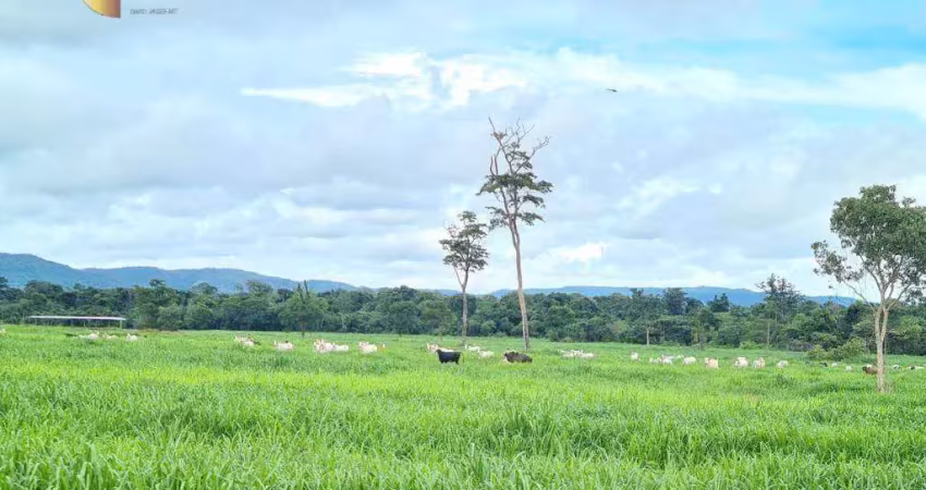Fazenda à venda, 9680000 m² por r$ 75.000.000,00 - zona rural - confresa/mt