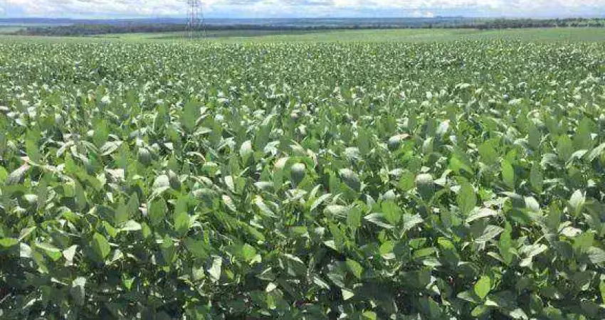 Fazenda à venda, 7220000 m² por r$ 60.070.400,00 - zona rural - rondonópolis/mt