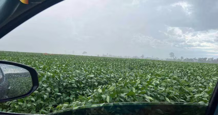 Fazenda à venda, 30250000 m² por r$ 60.000.000,00 - zona rural - nova monte verde/mt
