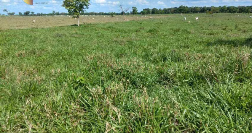 Fazenda à venda, 2670000 m² por r$ 8.000.000,00 - zona rural  - várzea grande/mt