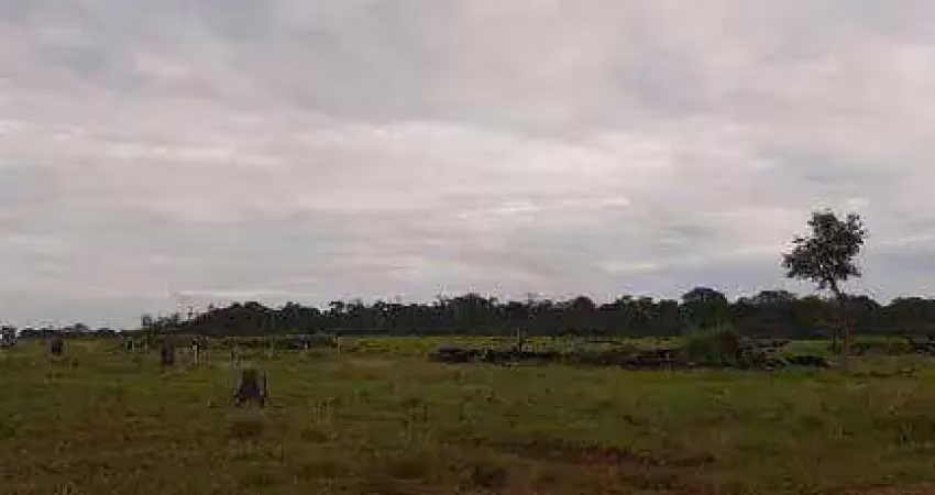 Fazenda à venda, 18850000 m² por r$ 83.200.000,00 - zona rural - juina/mt