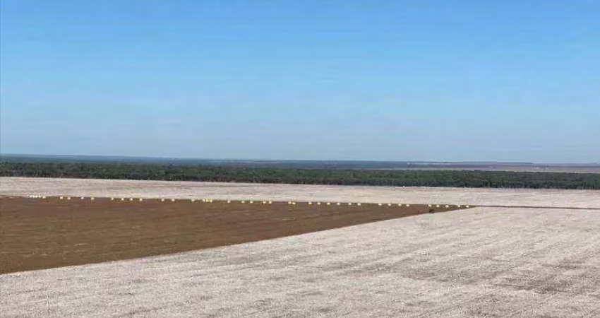 Fazenda à venda, 54680000 m² por r$ 96.000.000,00 - zona rural - nova maringá/mt