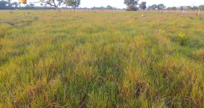 Fazenda à venda, 5000000 m² por r$ 20.000.000,00 - zona rural - cuiabá/mt