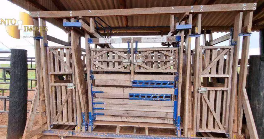 Fazenda à venda, 2400000 m² por r$ 6.000.000,00 - zona rural - dom aquino/mt