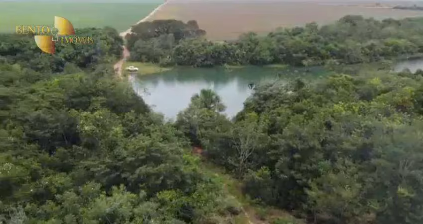 Fazenda à venda, 45250000 m² por r$ 128.000.000,00 - zona rural - diamantino/mt