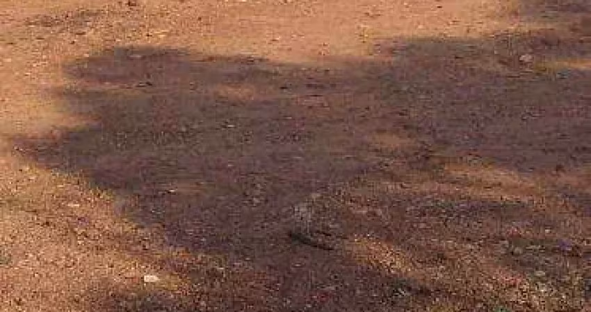 Fazenda à venda, 1100000 m² por r$ 4.000.000,00 - zona rural - poxoréu/mt