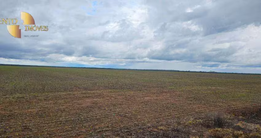 Fazenda à venda, 3100000 m² por r$ 27.500.000,00 - centro - tapurah/mt