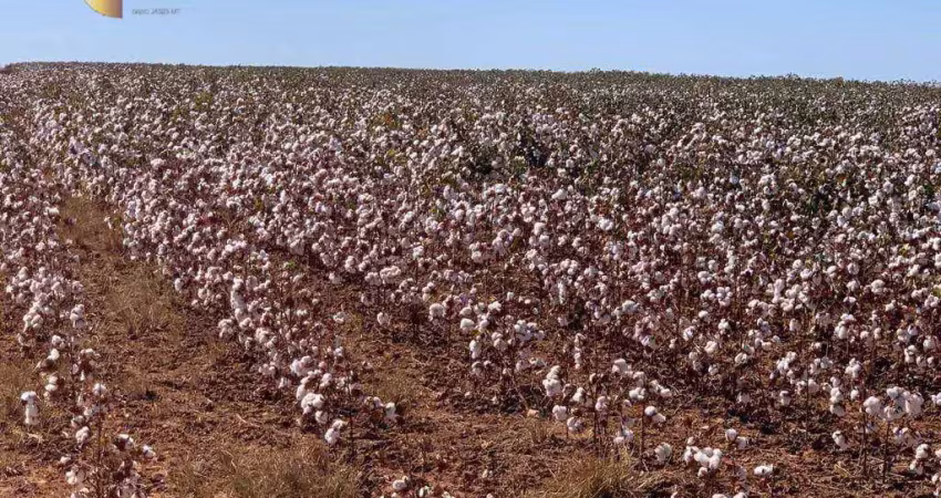Fazenda à venda, 156300000 m² por r$ 1.250.000.000,00 - rural - ipiranga do norte/mt
