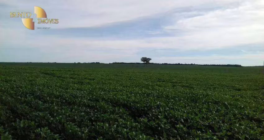 Fazenda à venda, 20400000 m² por r$ 80.000.000,00 - zona rural - ribeirão cascalheira/mt