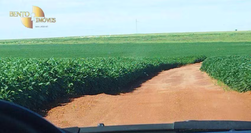 Fazenda à venda, 11430000 m² por r$ 30.000.000,00 - zona rural - jaciara/mt
