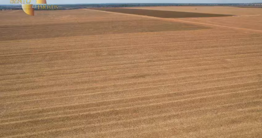 Fazenda à venda, 42630000 m² por r$ 300.000.000,00 - zona rural - sinop/mt