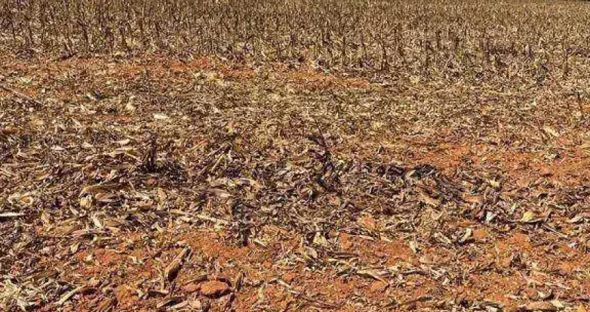 Fazenda à venda, 176000 hectares por r$ 880.000.000 - zona rural - aroazes/pi