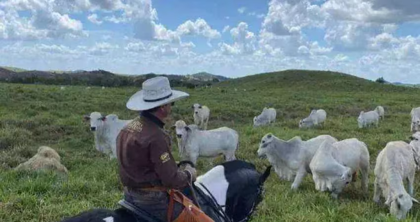 Fazenda à venda, 60000000 m² por r$ 170.000.000,00 - área rural de santa inês - santa inês/ma