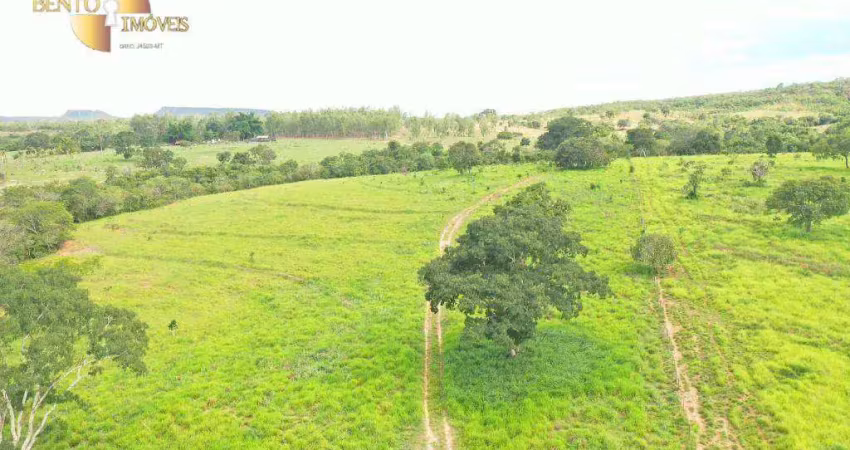 Fazenda à venda, 1410000 m² por r$ 3.500.000,00 - zona rural - guiratinga/mt