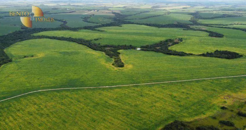 Fazenda à venda, 5400 hectaes por r$ 254.000.000 - zona rural - paranatinga/mt