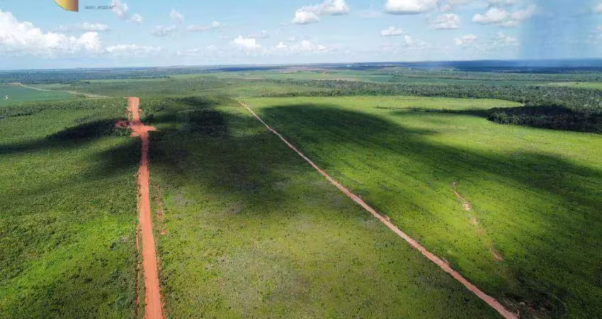 Fazenda à venda, 134000000 m² por r$ 586.250.000,00 - zona rural - nova ubiratã/mt