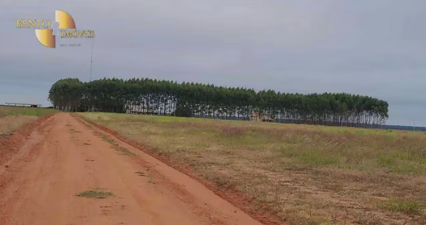 Fazenda à venda, 33600000 m² por r$ 90.000.000,00 - zona rural - gaúcha do norte/mt