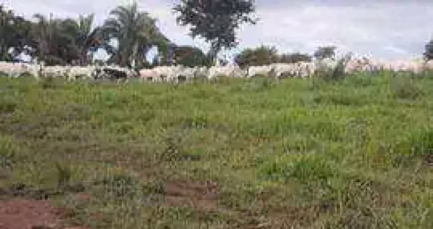 Fazenda com tradição em qualidade. 345 hectares por r$ 6.000.000 - zona rural - cuiabá/mt