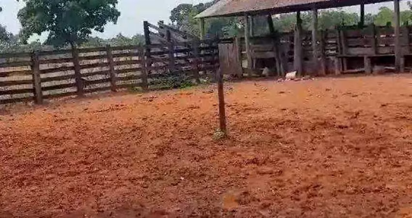 Fazenda com infraestrutura pronta. 225 ha por r$ 5.625.000 - zona rural - poconé/mt