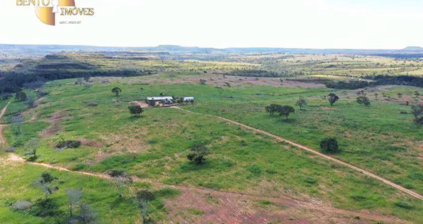 Fazenda com gestão eficiente e inovadora. fazenda à venda, 850 hectares por r$ 10.000.000 - zona rural - tesouro/mt
