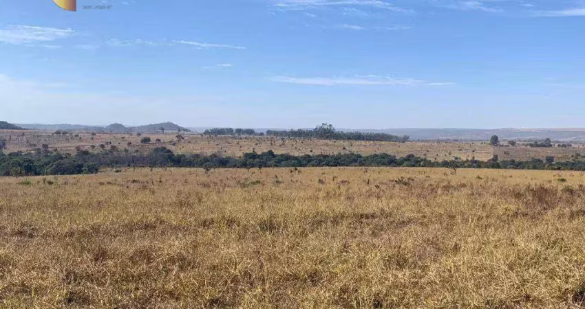 Fazenda que une o melhor da terra e do gado. fazenda à venda, 350 hectares por r$ 12.000.000 - zona rural - itiquira/mt