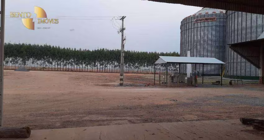 Fazenda porteira fechada, preparada para novos desafios agropecuário, 49937 hectares por r$ 1.200.000.000,00 - zona rural - nova ubiratã/mt