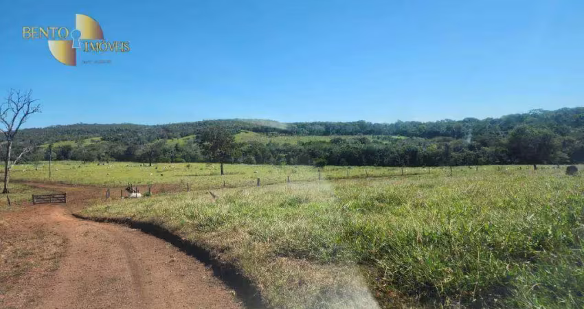 Fazenda à venda, 20990 hectares por r$ 250.000.000 - zona rural - novo são joaquim/mt