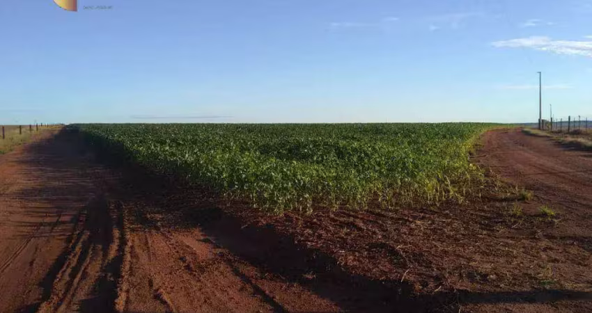 Fazenda com vastas opções de cultivo e criação, à venda, 900 hectares por r$ 35.000.000 - zona rural - primavera do leste/mt