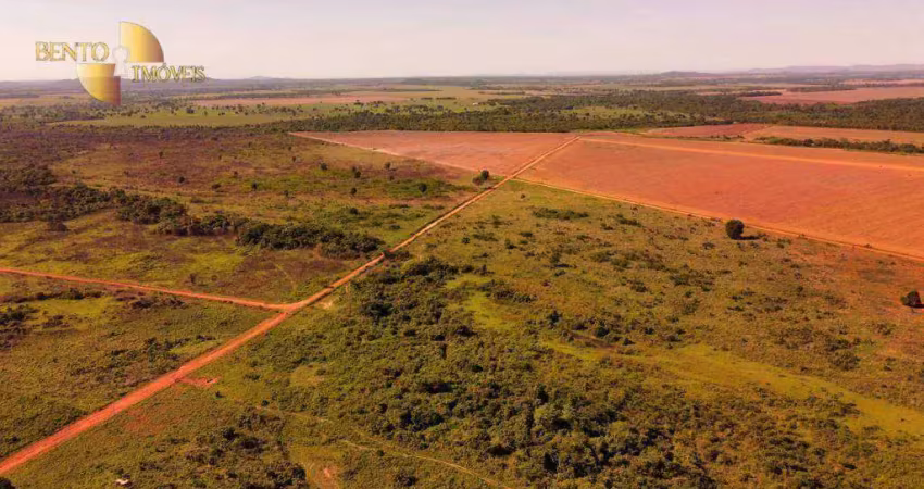 Fazenda à venda, 30000000 m² por r$ 80.000.000,00 - zona rural - vila rica/mt