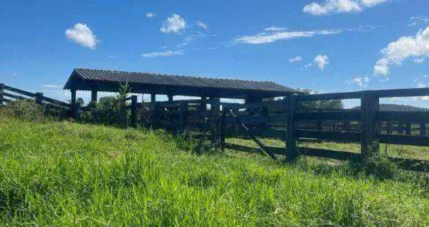 Fazenda à venda, 1000 hectares por r$ 14.000.000 - zona rural - nova brasilândia/mt