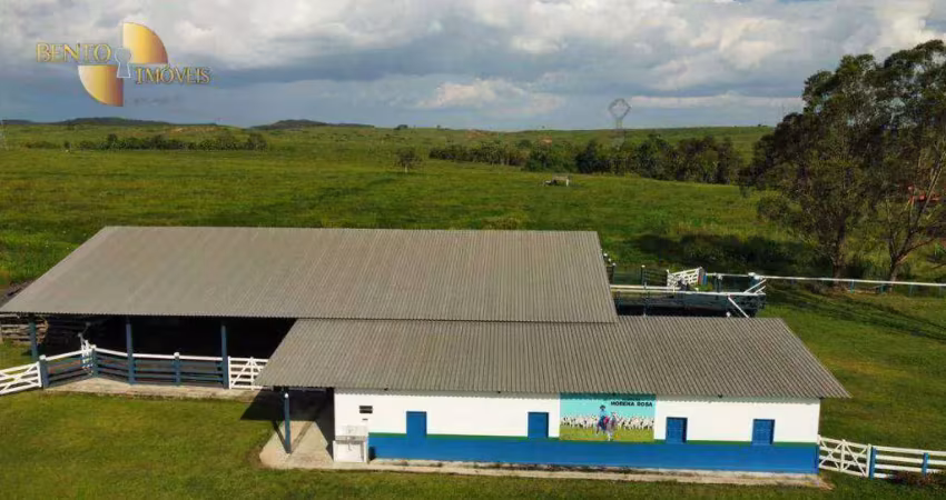Fazenda com infraestrutura pronta. à venda, 876 hectares por r$ 20.000.000 - zona rural - jacundá/pa