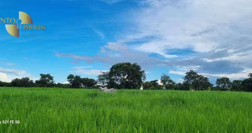 Fazenda à venda, 240 hectares por r$ 6.500.000 - zona rural - acorizal/mt