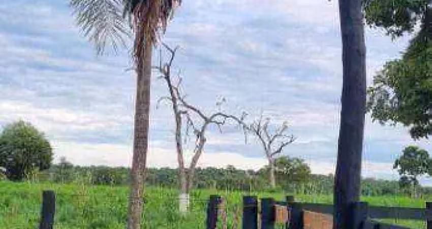 Fazenda à venda, 1800 hectares por r$ 21.600.000 - zona rural - barão de melgaço/mt