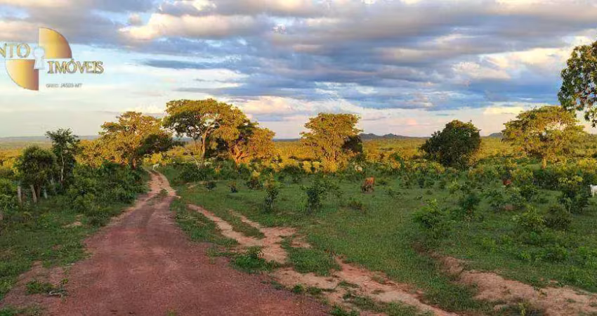 Fazenda focada em melhoramento animal, à venda, 784,8 hectares por r$ 16.200.000 - zona rural - torixoréu/mt