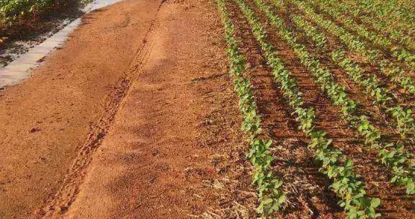 Fazenda à venda, 2120 hectares por r$ 10.494.000 - zona rural - rondonópolis/mt