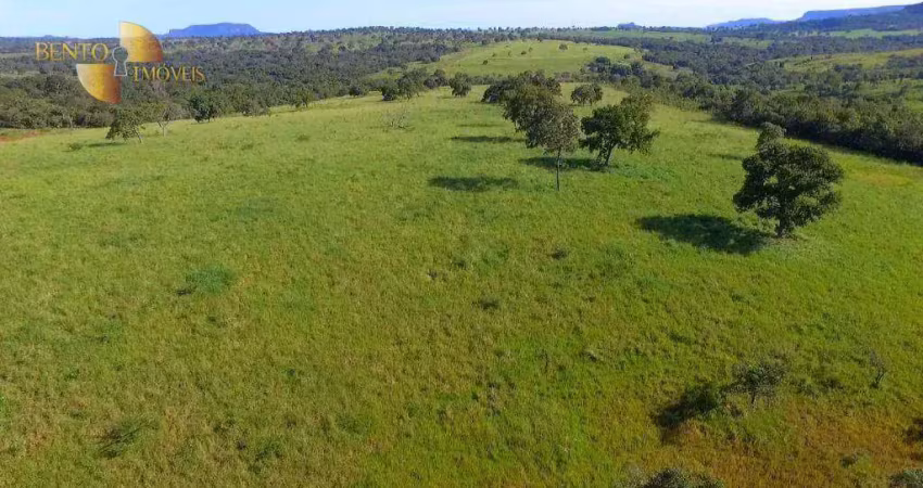 Fazenda à venda, 1500 hectares por r$ 23.000.000 - zona rural - pedra preta/mt